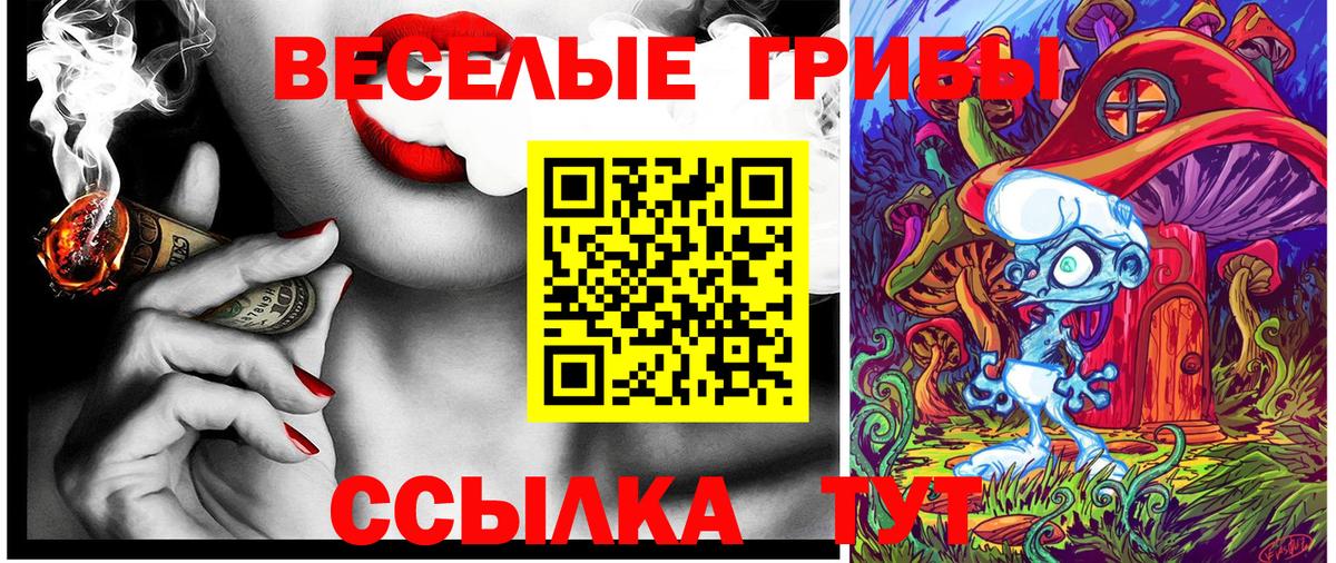 Галлюциногенные грибы MAGIC MUSHROOMS  Вход с VPN  Кстово 