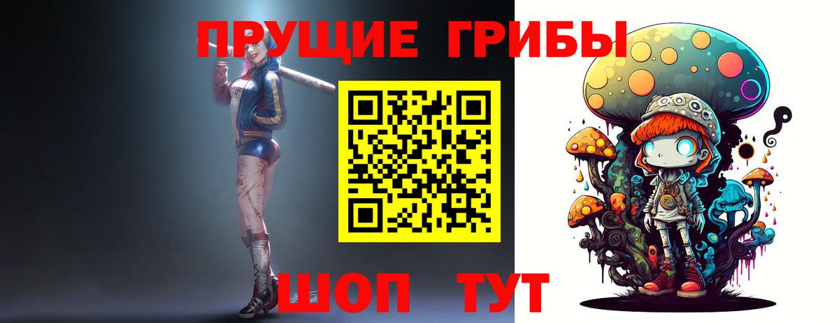 Галлюциногенные грибы Cubensis Кстово